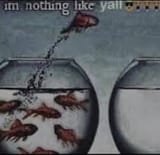 GxVnF07a0AAai6i