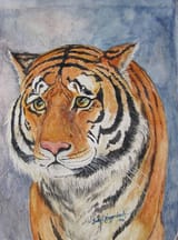 tiger sad