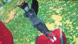 meow ffxiv_dx11 meow 2023-12-13 20-36-58