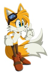 tailskochan