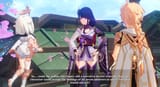 Raiden Harem
