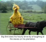bert