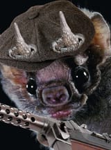 rtxon