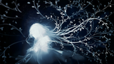 pic_rogue_2_57