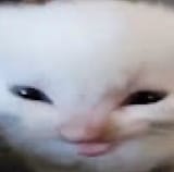 1749722988685830