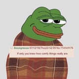 1733264242244407