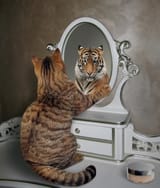 catiger