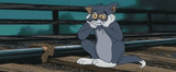 tom-jerry