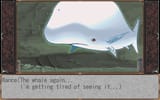 Stupid Whale