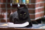 Salem6