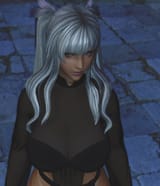 ffxiv_dx11 2025-07-29 02-33-03_798