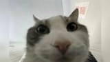 1725035109439942