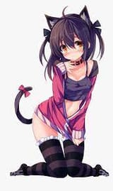 images[1]