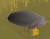 1750865613905620