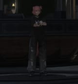 ffxiv_dx11_rXR2VmapQJ