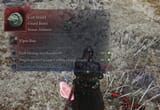 1733301252790246