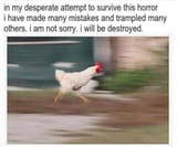 1730910981898894