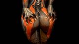 ass