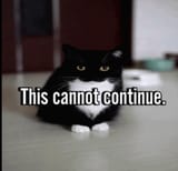cannot
