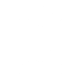 OrokinEye