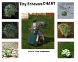 tiny echevores