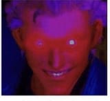 vergil
