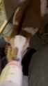 1736384003401848_thumb.jpg