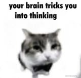1704039220148286
