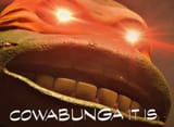 cowabunga