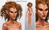 skyrim_character_race_wood_elf_female_by_adam_adamowicz