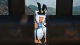 2025-08-10 02-40-42 OkamiGameplay ffxiv_dx11