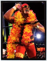 hogan boa