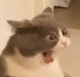 1729201146755209