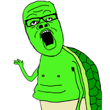 Turtle soy
