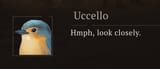Uccello