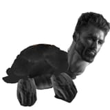 turtlechad