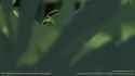 540hrX5X0S63L7z3 [540hrX5X0S63L7z3]_thumb.jpg