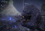 bear rape
