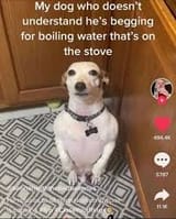 mrg