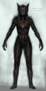 SR-concept-6877592073