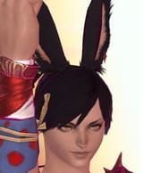 shampion