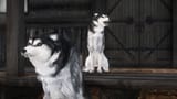 enb2025_8_10_04_43_39