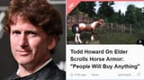 Todd horse armor
