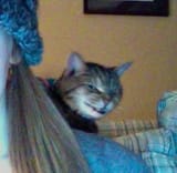 Evil Meowskers