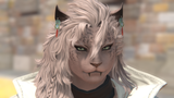 Retardcat