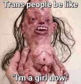 trans people be like