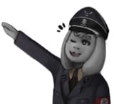 fhgfh