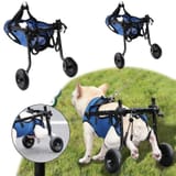 Leatfisat-Pet-Mobility-Cart-For-Rear-Legs-Lightweight-Customizable-Support-Rehabilitating-Injured-Or-Paralyzed-Pets-Hind-Leg-Wheelchair-Dogs-Xs_e1104931-2bb5-4586-969b-29197fbcc37c.5a773e978948e4304c5f4d7505718761-