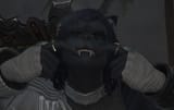 teef