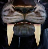 unkillable subspace femcharr guard muzzle poofs and teefs